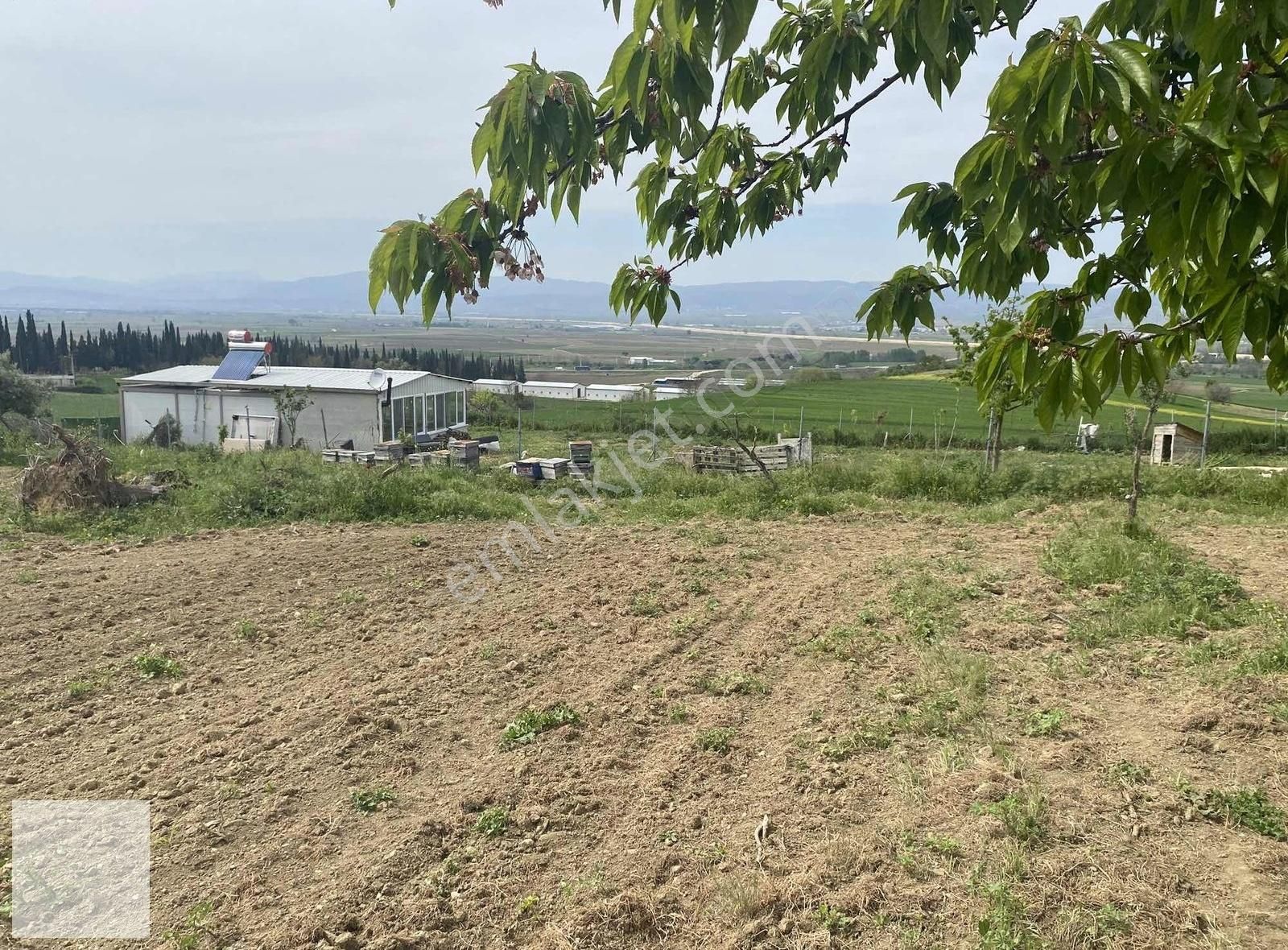 Subaşı Köyünde Manzaralı İmarlı Arsa