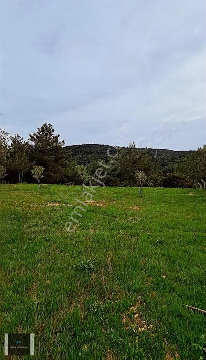 Atatürk Mahallesinde 15/30 İmarlı Arsa 355 M2 Arsa - Görsel 2