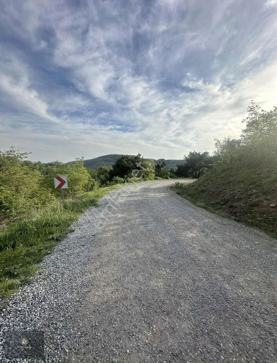 Poyraz'dan 6,5 Dönüm Tarla