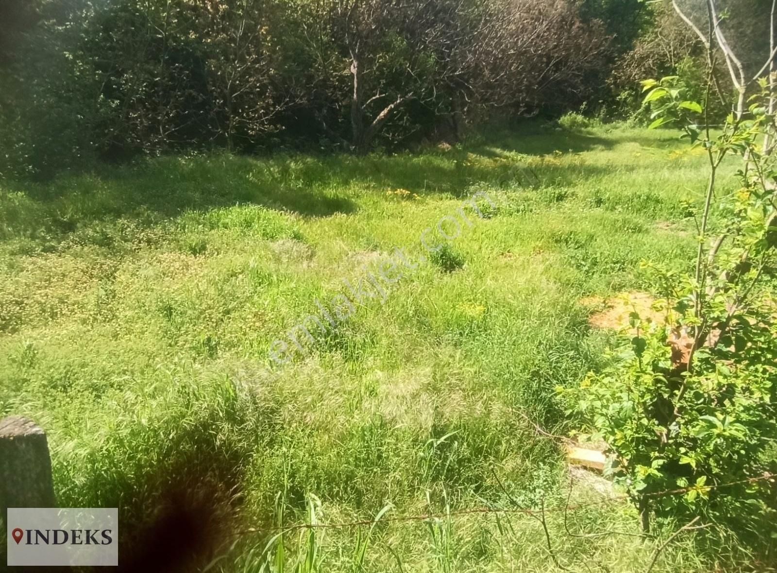 Anayol Kenarı Köşe Arsa