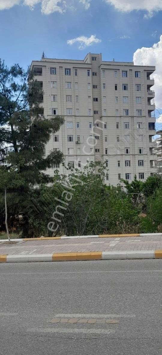 Güzel Emlak Tan Mesire Yanı Acil Satılık