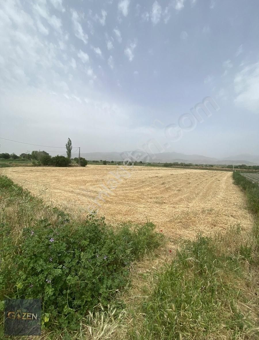 Aydın Efelerde Tek Tapu 4300 M2 Bahçe Vasıflı Arazi - Görsel 14