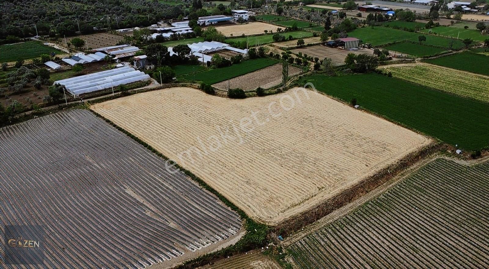 Aydın Efelerde Tek Tapu 4300 M2 Bahçe Vasıflı Arazi - Görsel 7