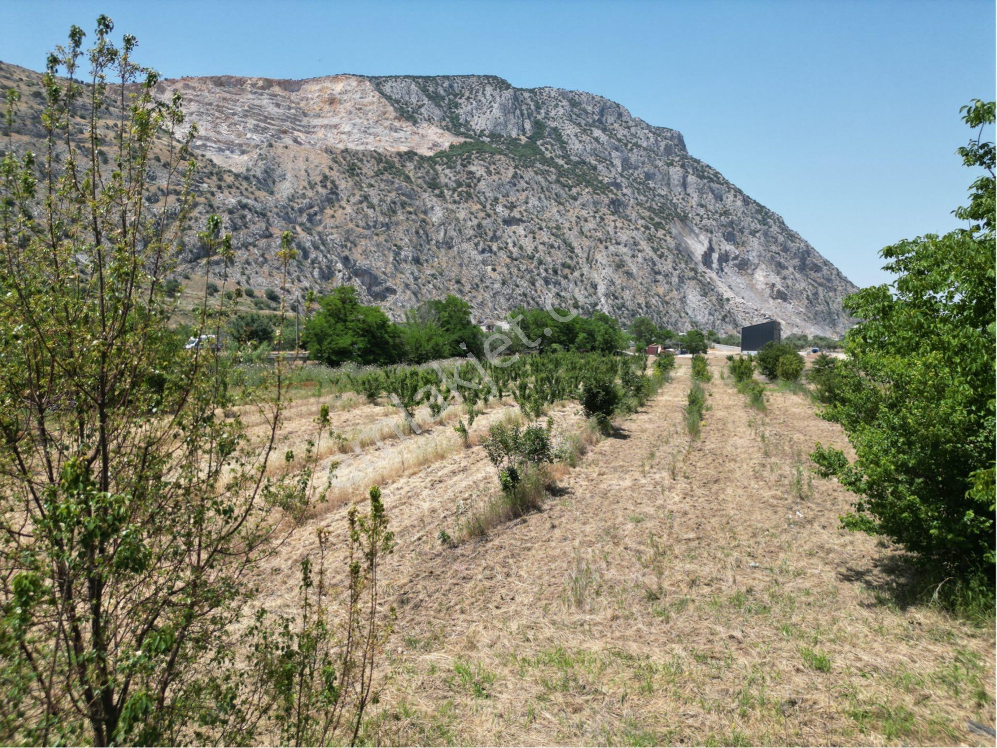 Beyaz Gayrımenkulden Yukarı Cobanisa Mh 2,250 M2 İmarlı Arsa - Görsel 3