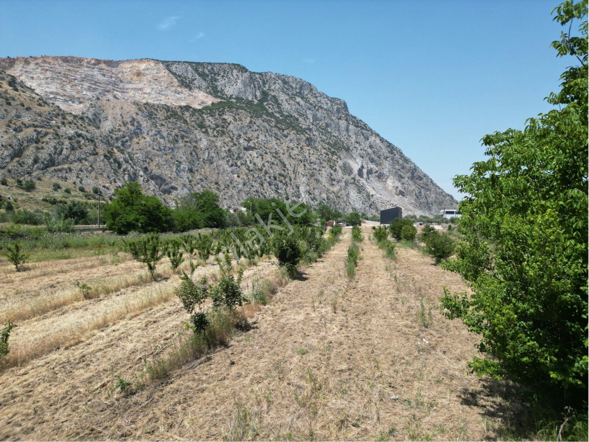 Beyaz Gayrımenkulden Yukarı Cobanisa Mh 2,250 M2 İmarlı Arsa - Görsel 27