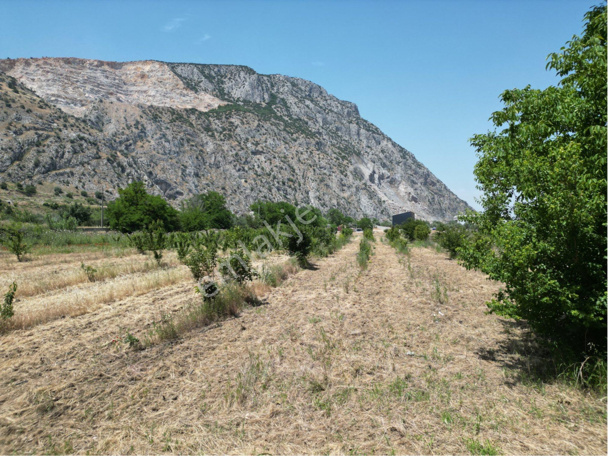 Beyaz Gayrımenkulden Yukarı Cobanisa Mh 2,250 M2 İmarlı Arsa - Görsel 28