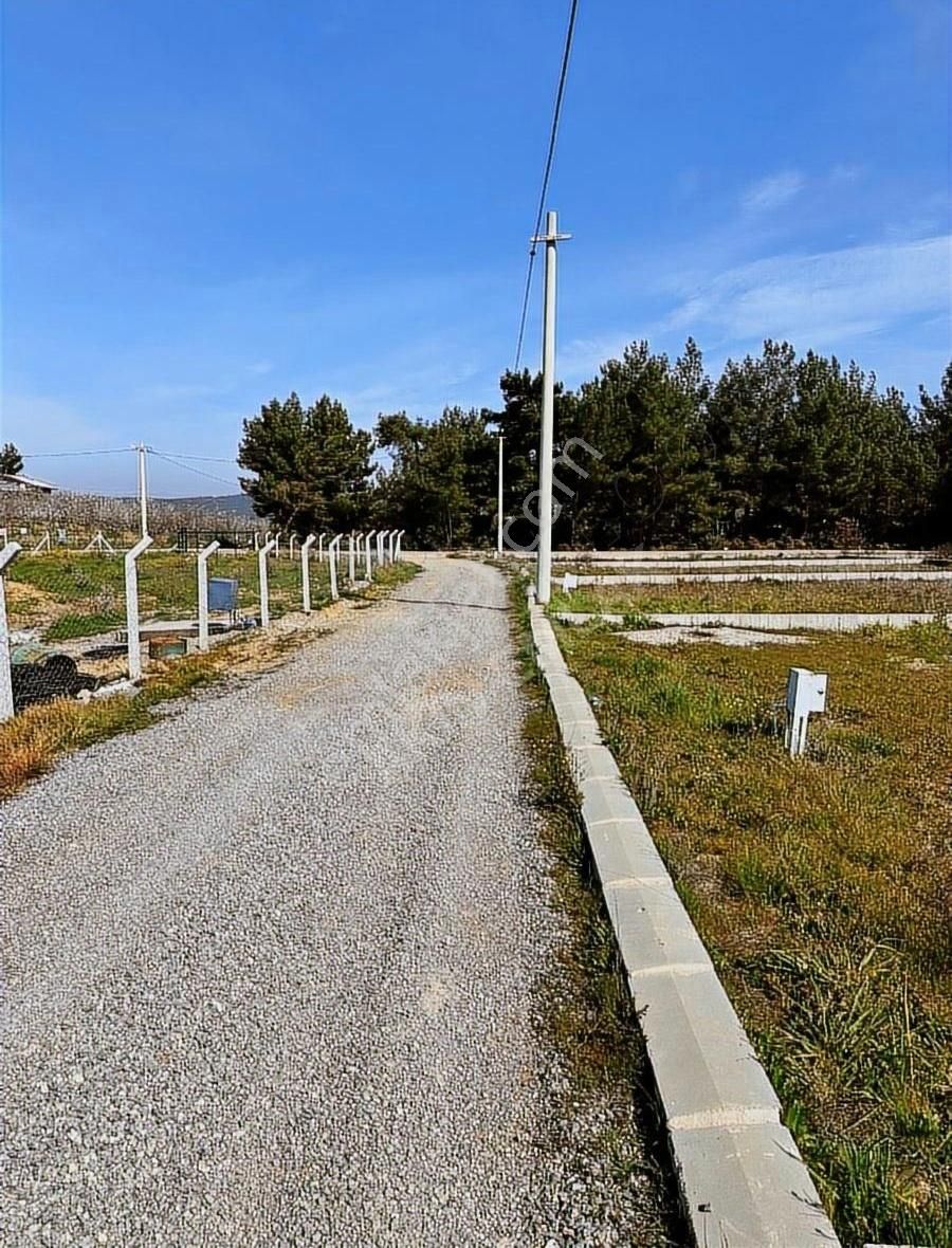 Buca Kaynaklar Söğüt Caddeye 300 Metre Mesafeli Satılık Arsa