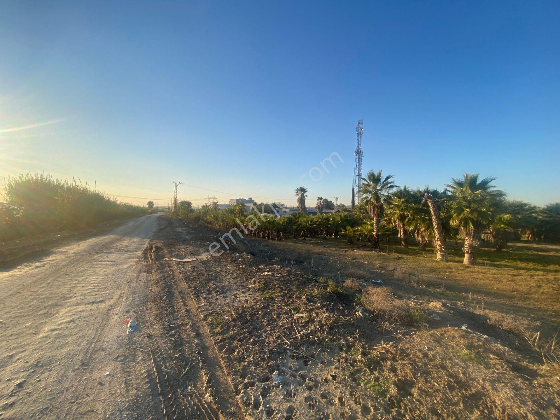 Mersin Tarsus D-400 Otoban Girişi 4.097 M² Arsa - Görsel 28