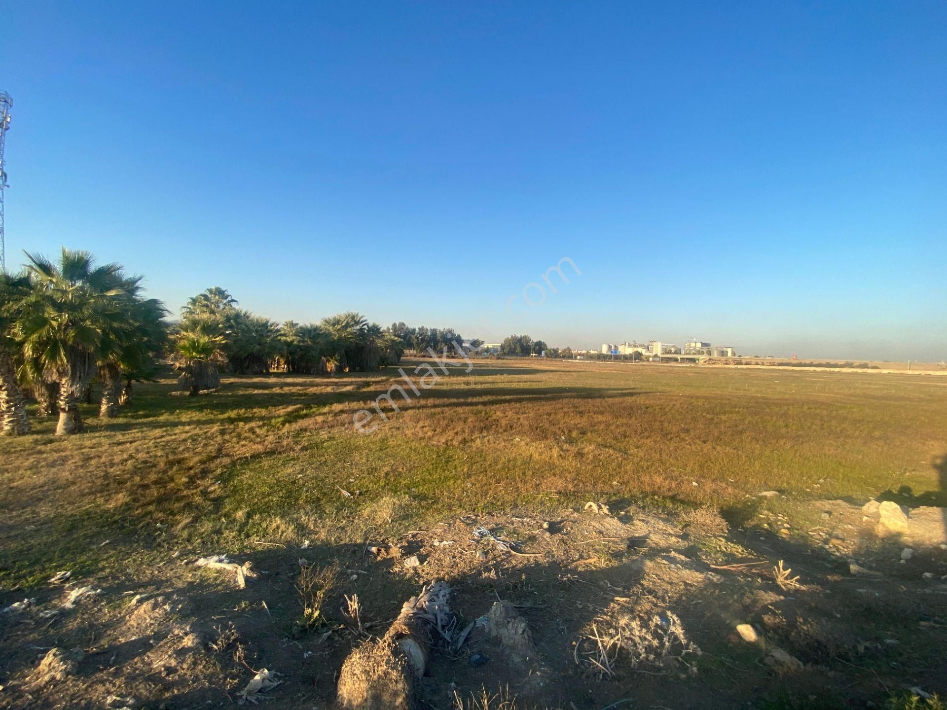 Mersin Tarsus D-400 Otoban Girişi 4.097 M² Arsa - Görsel 27