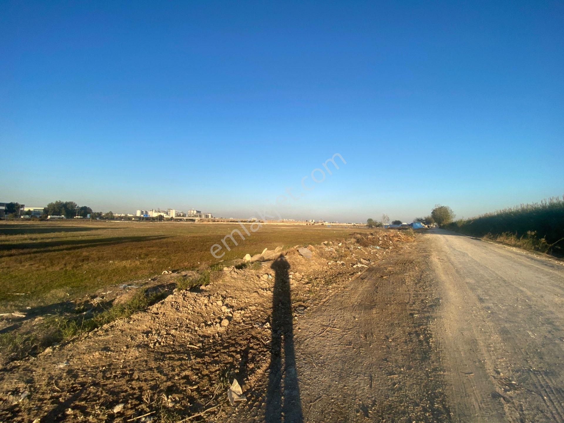 Mersin Tarsus D-400 Otoban Girişi 4.097 M² Arsa - Görsel 26