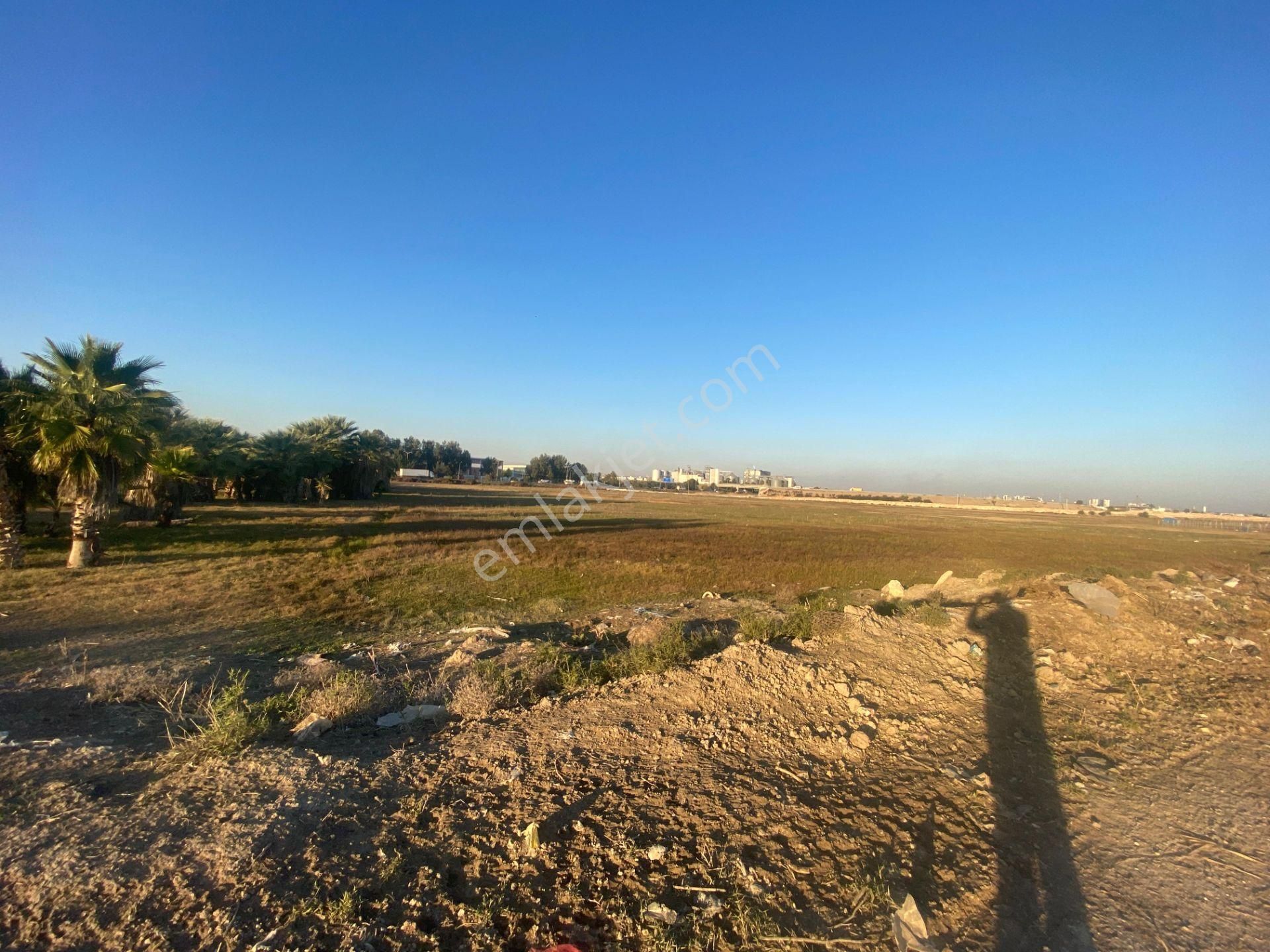 Mersin Tarsus D-400 Otoban Girişi 4.097 M² Arsa - Görsel 25