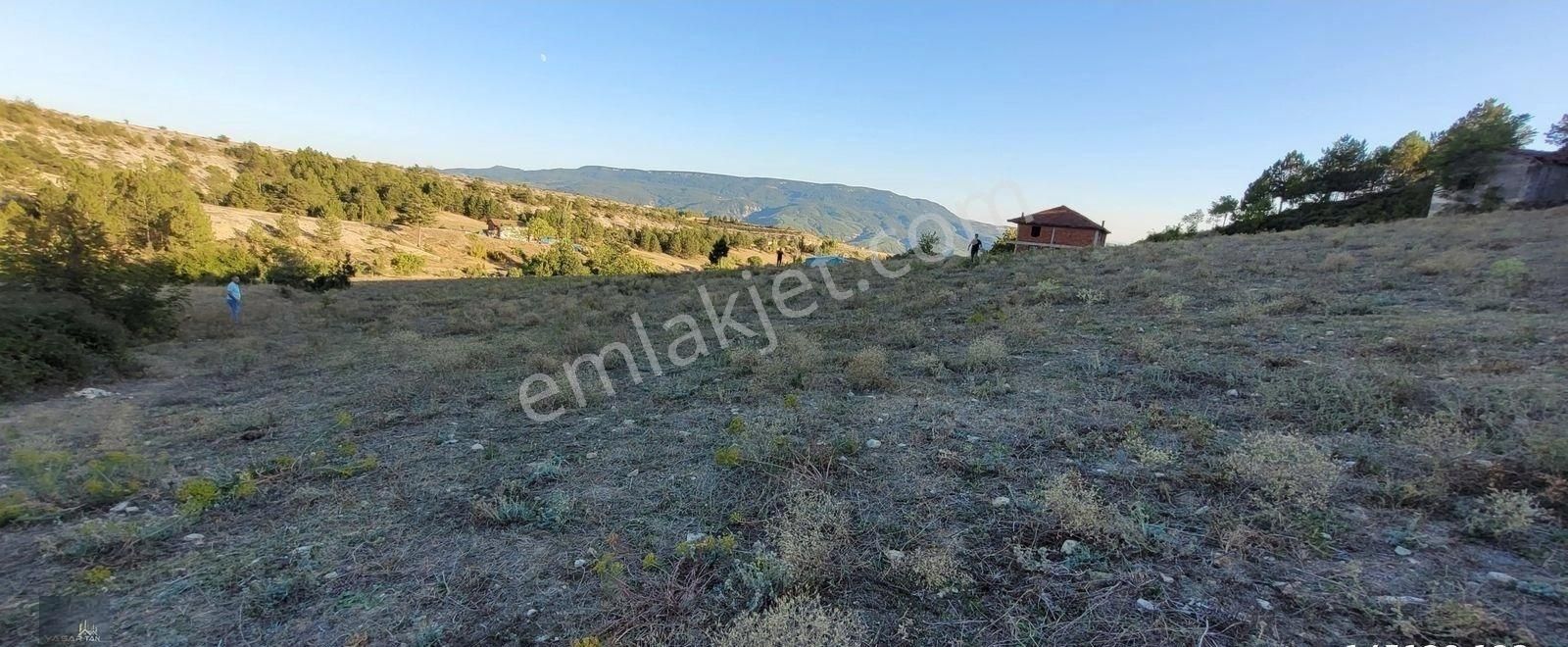 Safranbolu Akçasuda Konut İmarlı Satılık Arsa