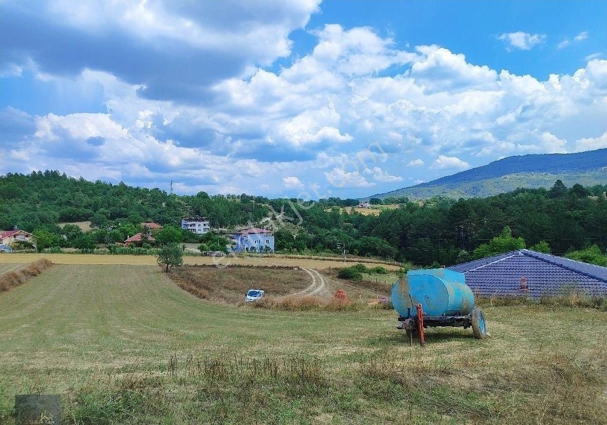Kastamonu Araç Kayaboğazı Köyünde Satılık Tarla