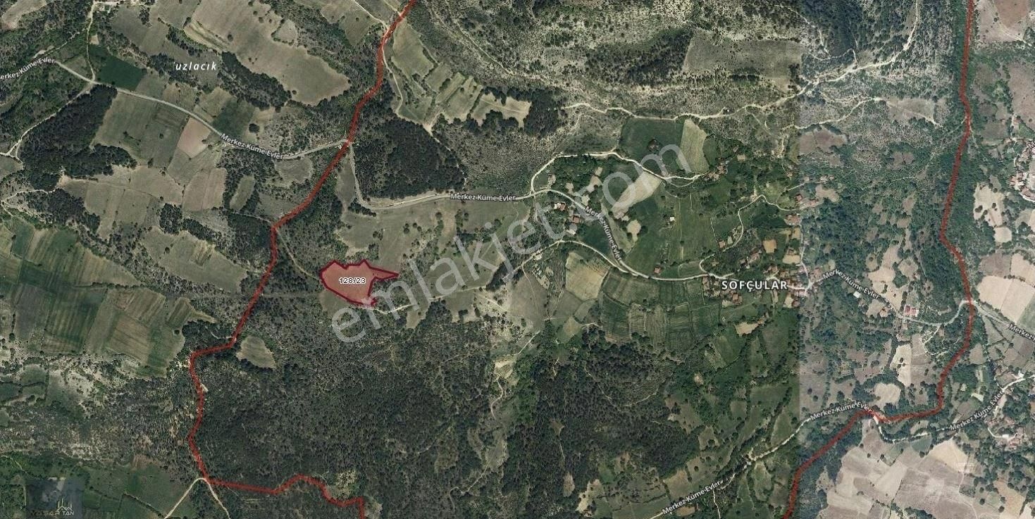 Kastamonu Araç Sofçular Köyünde Satılık 11 Dönüm Tarla