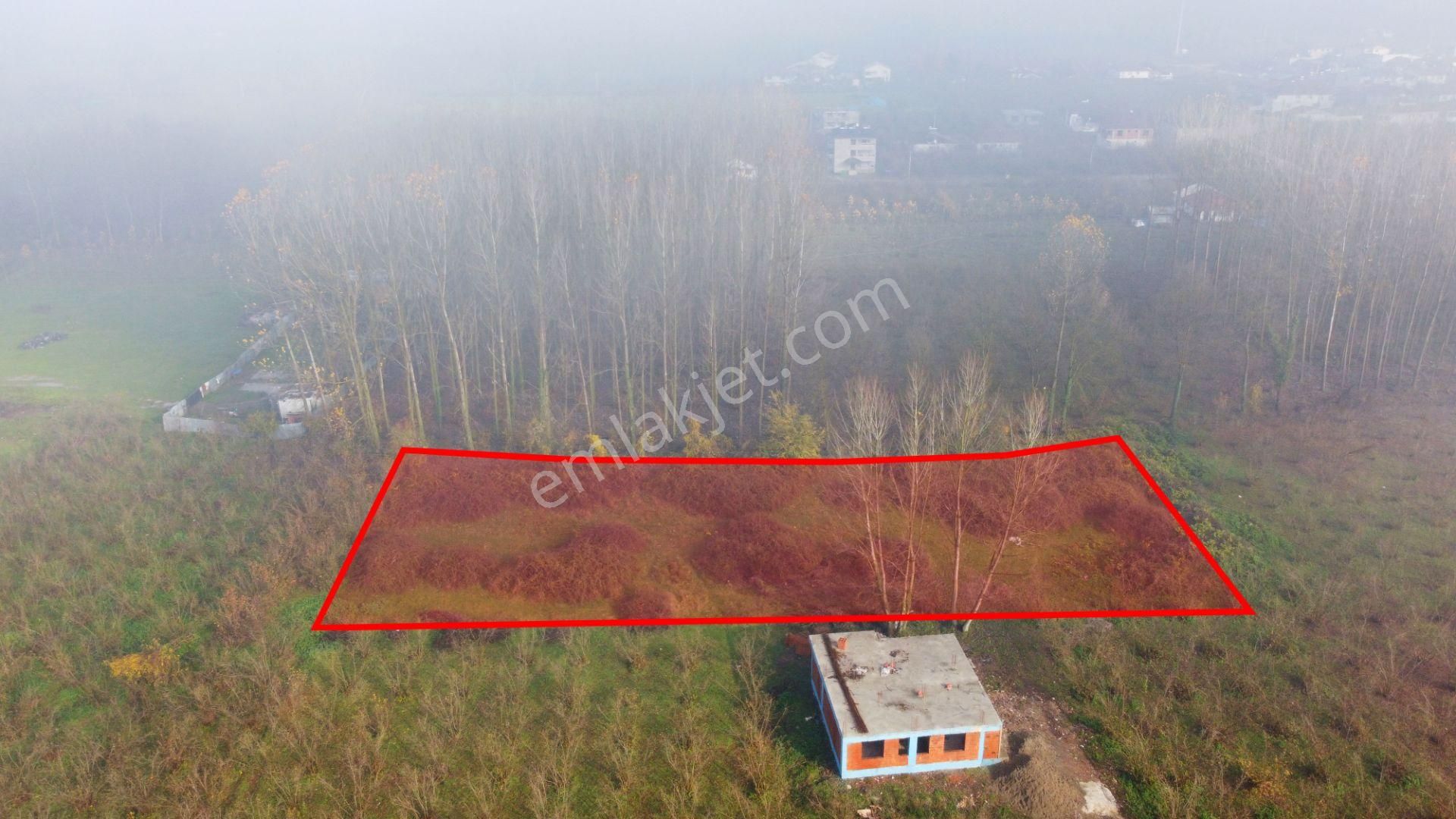Otluoğlu Mh.de 814 M2 Satılık Tarla Hissesi