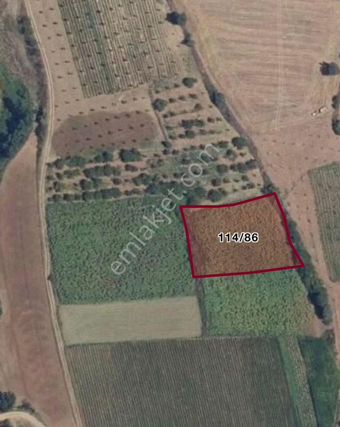 Nd Gayrimenkul'den Yenişehir Kavaklı Köyünde Satılık 1950 M2 Tek Tapu Tarla