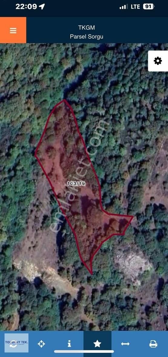 Bursa Yenişehir Beypınar Mahallesinde 4725 M² Yatırımlık Tarla!