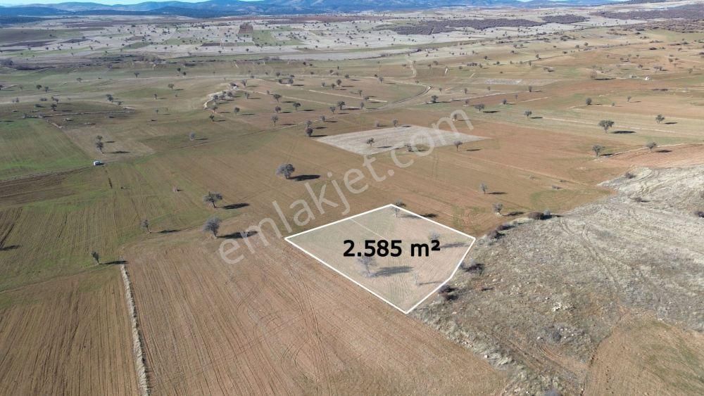 2.585 M² / Konya / Beyşehir / Yenidoğan / Tarla