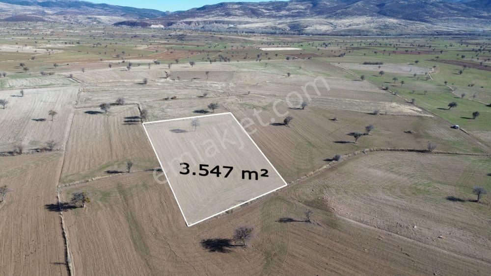 3.547 M² / Konya / Beyşehir / Yenidoğan / Tarla