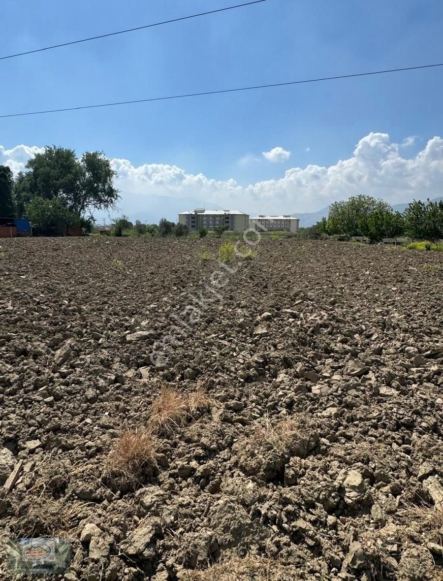 Akman Gayrimenkul'den Muradiye'de Satılık 8500 Tarla