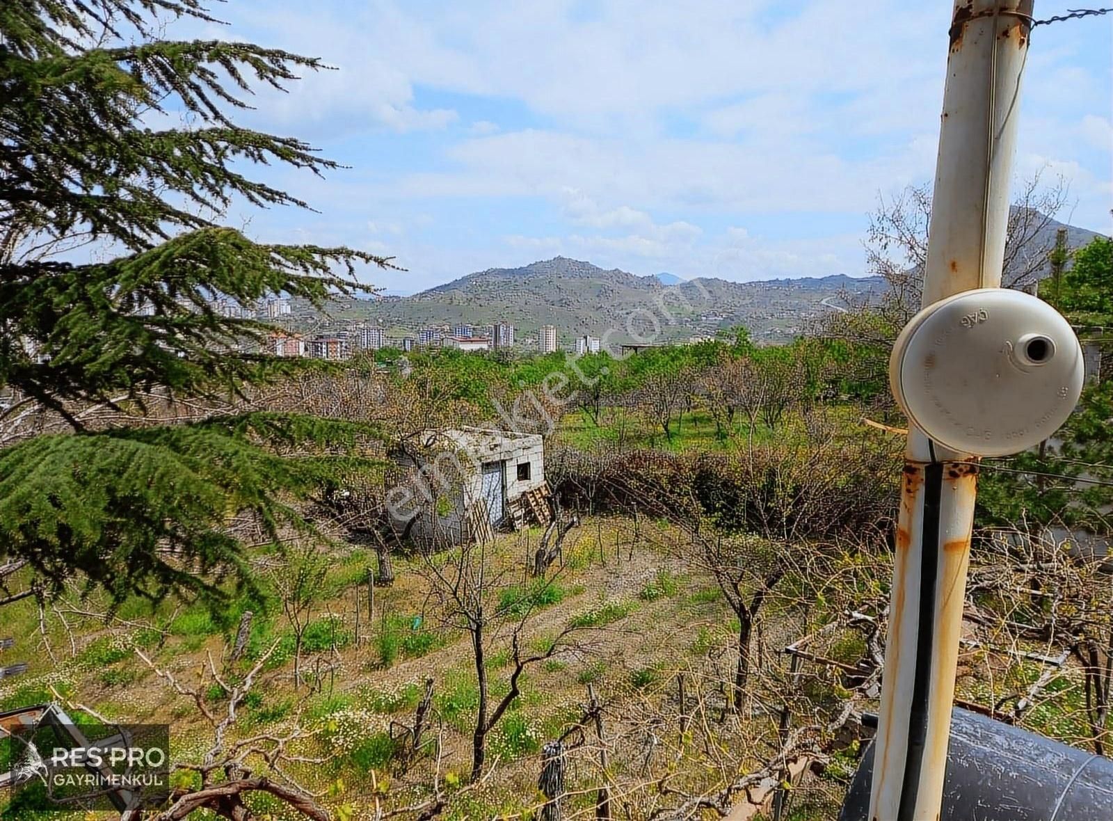 Villa İmar Planı İçinde Osb Yazı Bağlarında 5436 M² Evli Bağ - Görsel 4