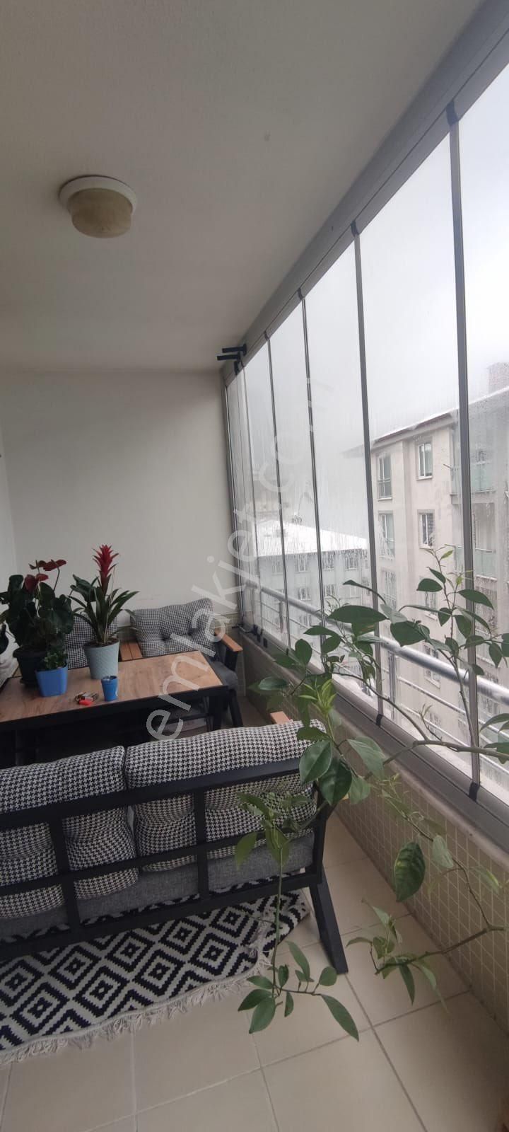 Artvin Ortahopa Merkezi Konum Okul Bölgesi Denize 2 Dk Geniş Daire