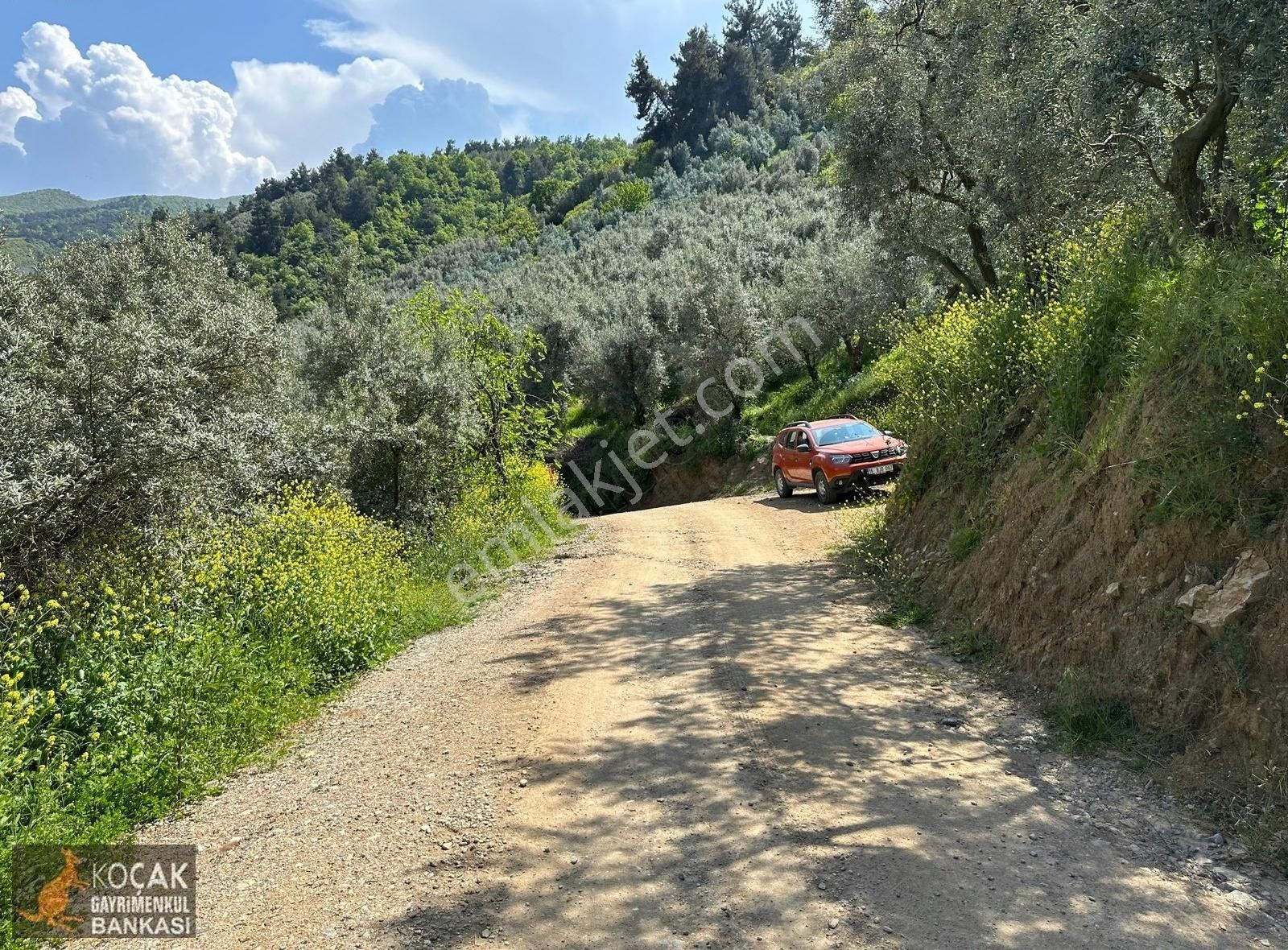 Müşküle Köyünde Göl Manzaralı Köşe Parsel 1156m2 Zeytin Bahçesi - Görsel 30