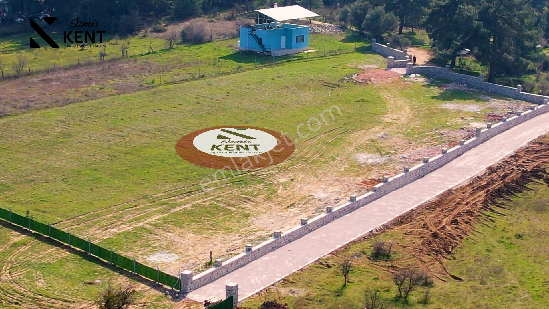 Kemalpaşa Soğukpınar Satılık 6071 M2 Arazi Taş Duvar Çevrili