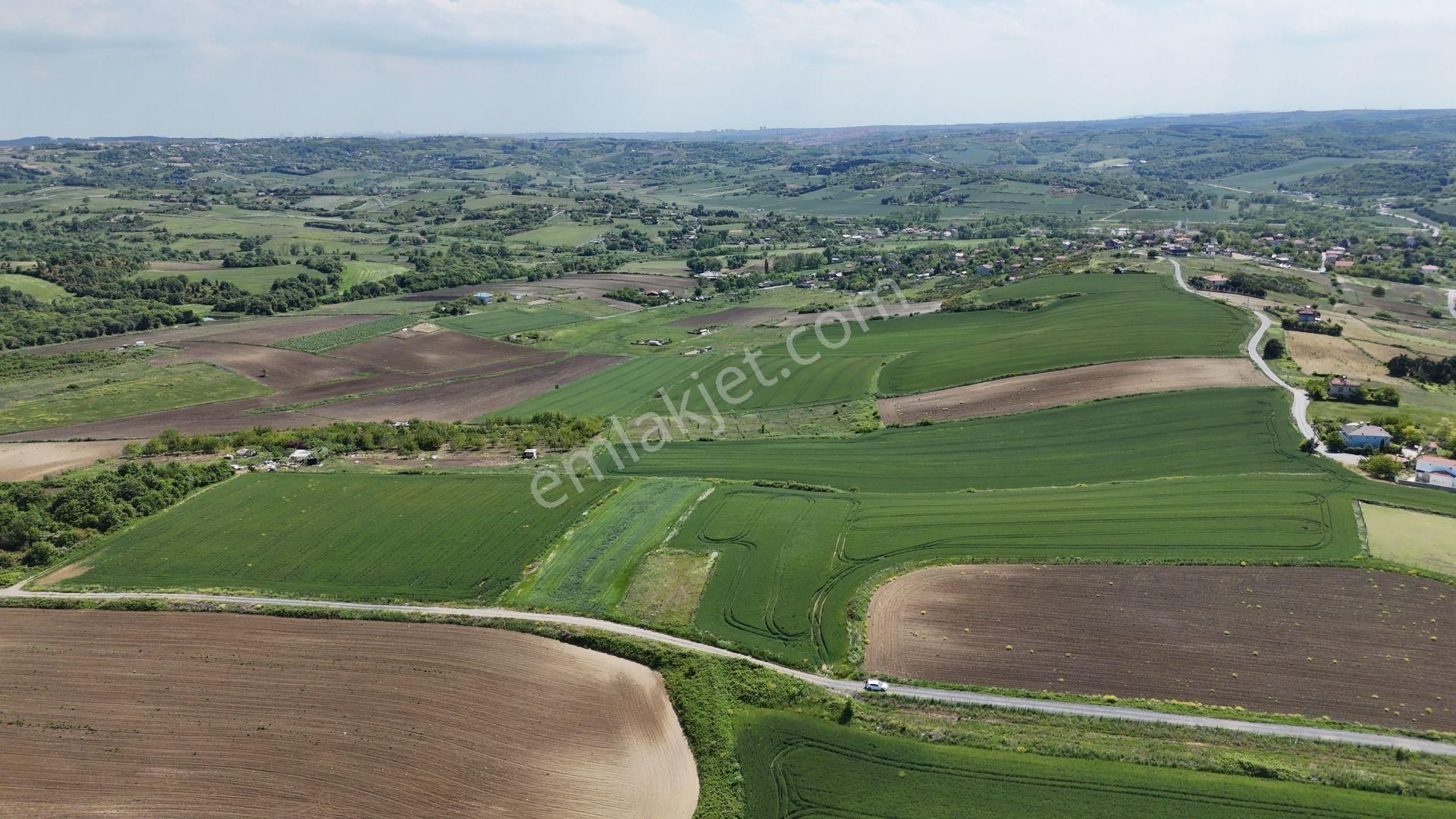 Arnavutköy Yeniköyde Havalimanı Yakını Çaplı Satılık 250 & 300 M² Parseller - Görsel 12