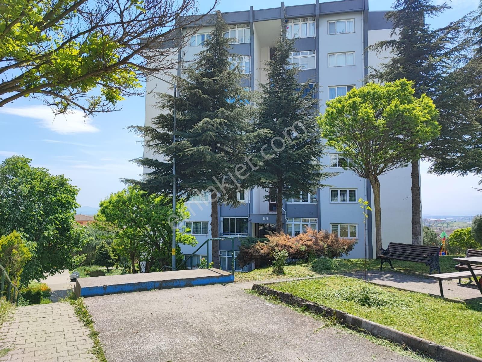 Balıkesir Elfi Den Yeni Mah Toki 1.etap Da Arakat Daire