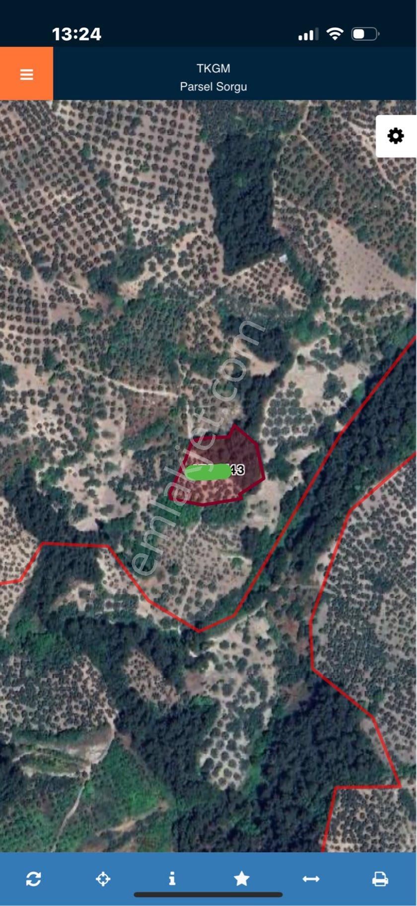 Mudanya Işıklı Mahallesinde Yatırımlık Zeytinlik