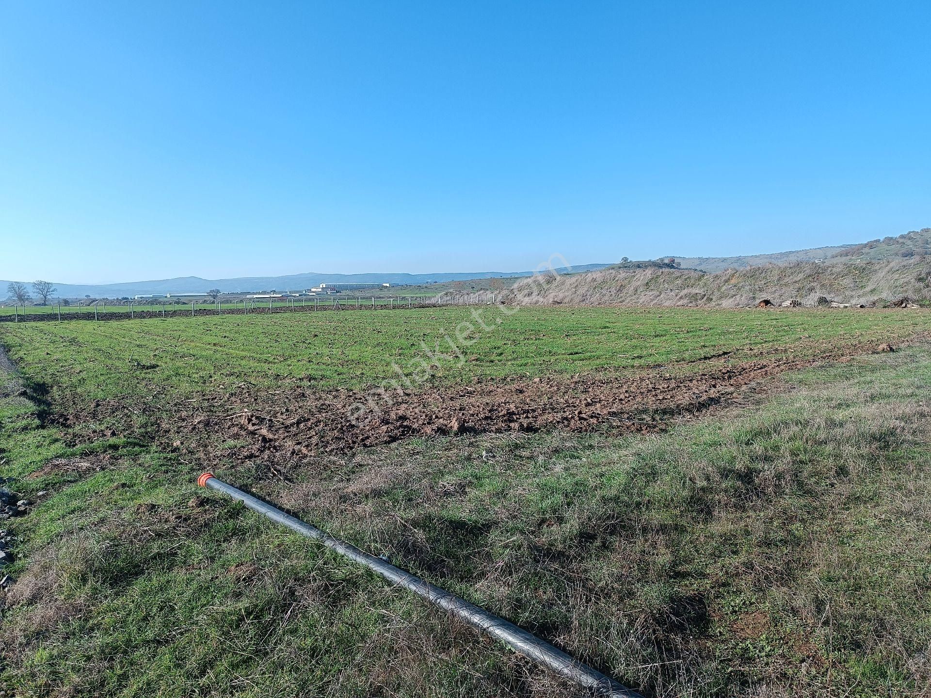 Gökçeyazı Edremit Yolu Köfteci Yusufun Arkasında Anayola 500m Sahibinden 3567 M2 Satılık Tarla