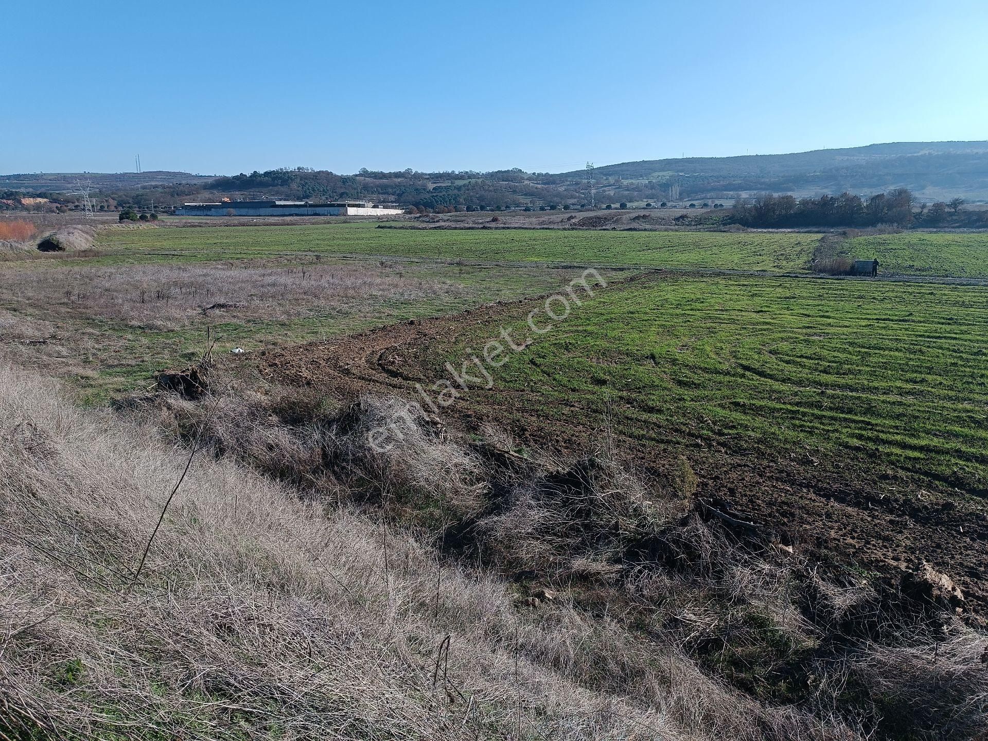 Gökçeyazı Edremit Yolu Köfteci Yusufun Arkasında Anayola 300m Sahibinden 3567 M2 Satılık Tarla