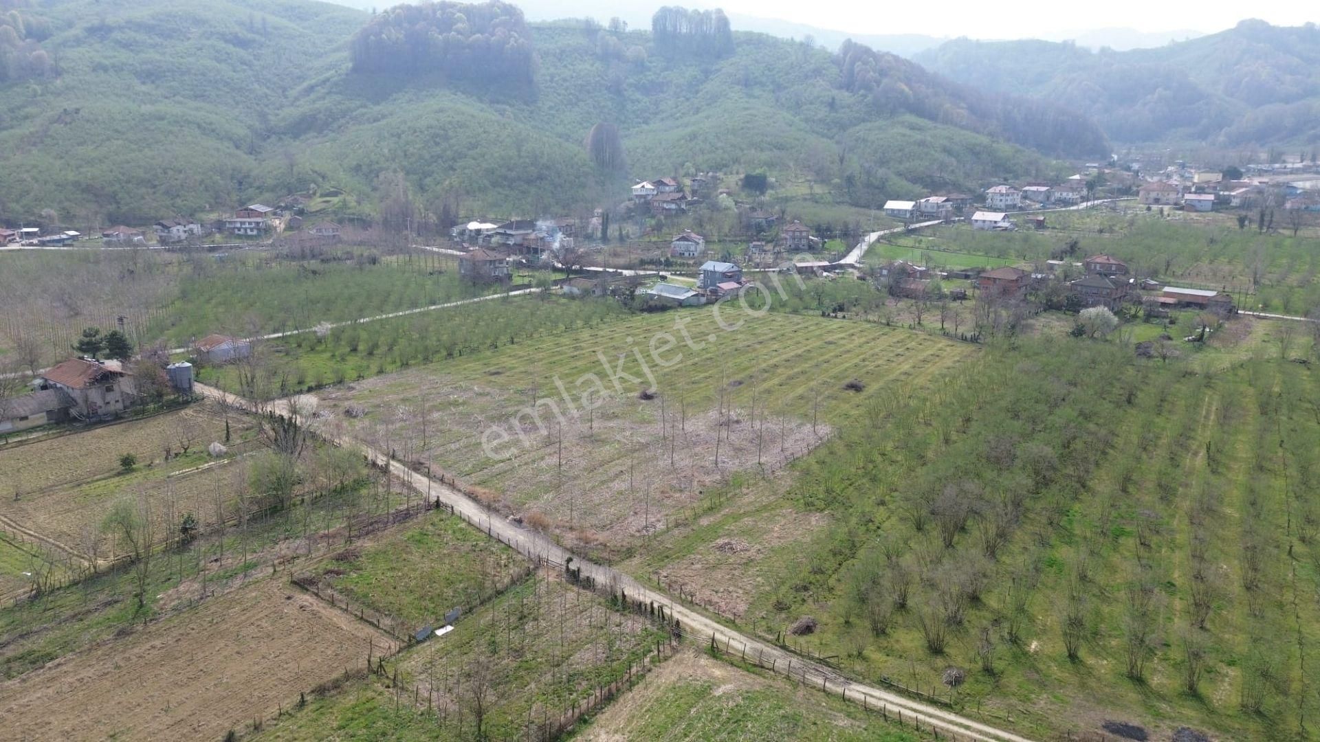 Akçakoça Uğurlu'da 750 M2 İmarlı Arsa Bu Fiyata Zaten Yok..!