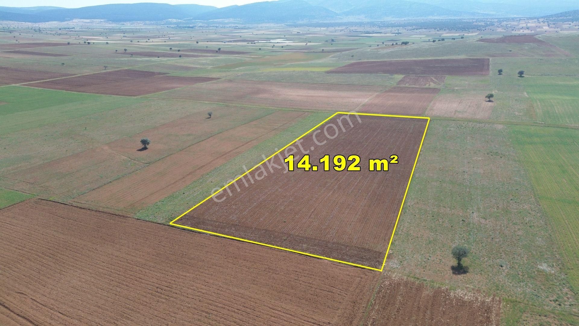 Akören/orhaniye'de 14.192m2 Müstakil Tapulu Resmi Yolu Var Halı Gibi Tarla
