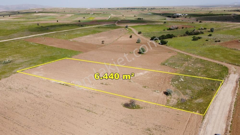 Akören Tülce De 6.440 M2 Müstakil Tapulu Tarla