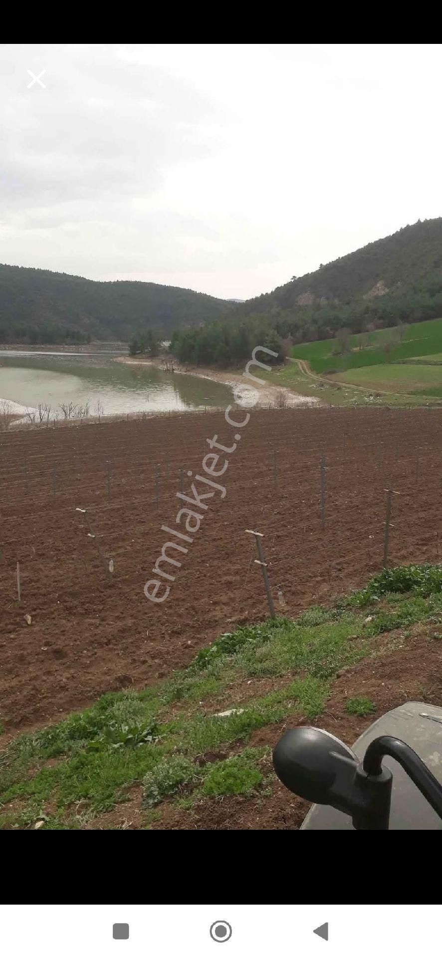 Tokat Erbaa Doğanyurt Baraj Kenarı 2.5 Dönüm Tek Tapu Arazi