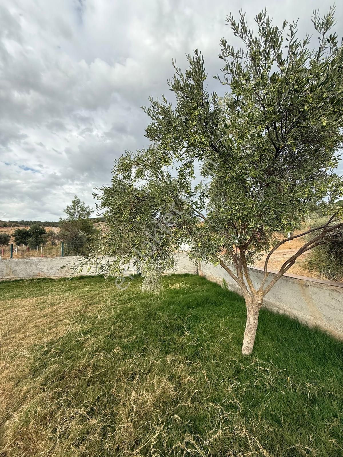 Torbalı Arslanlar 400 M2 70 M2 Bungalovlu Keyifli Bahçe - Görsel 7