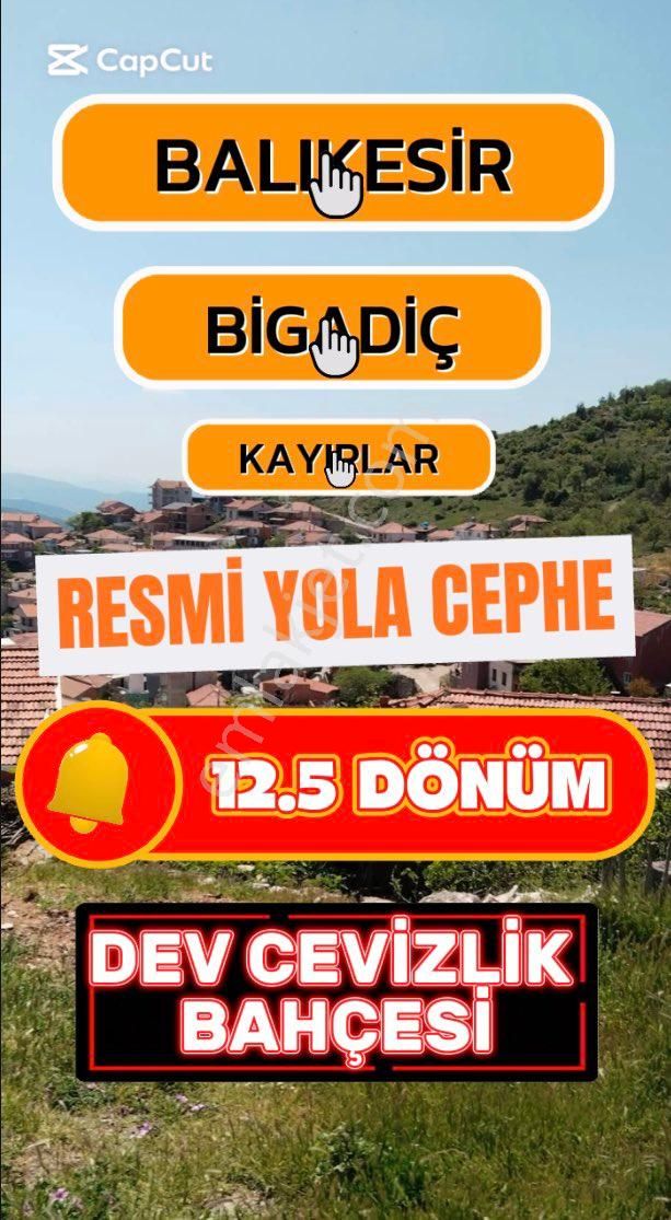 Balıkesir Bigadiç Kayırlar’da 12 Dönüm 500 M2 Dev Cevizlik ! Uygun Fiyat, Yüksek Potansiyel!
