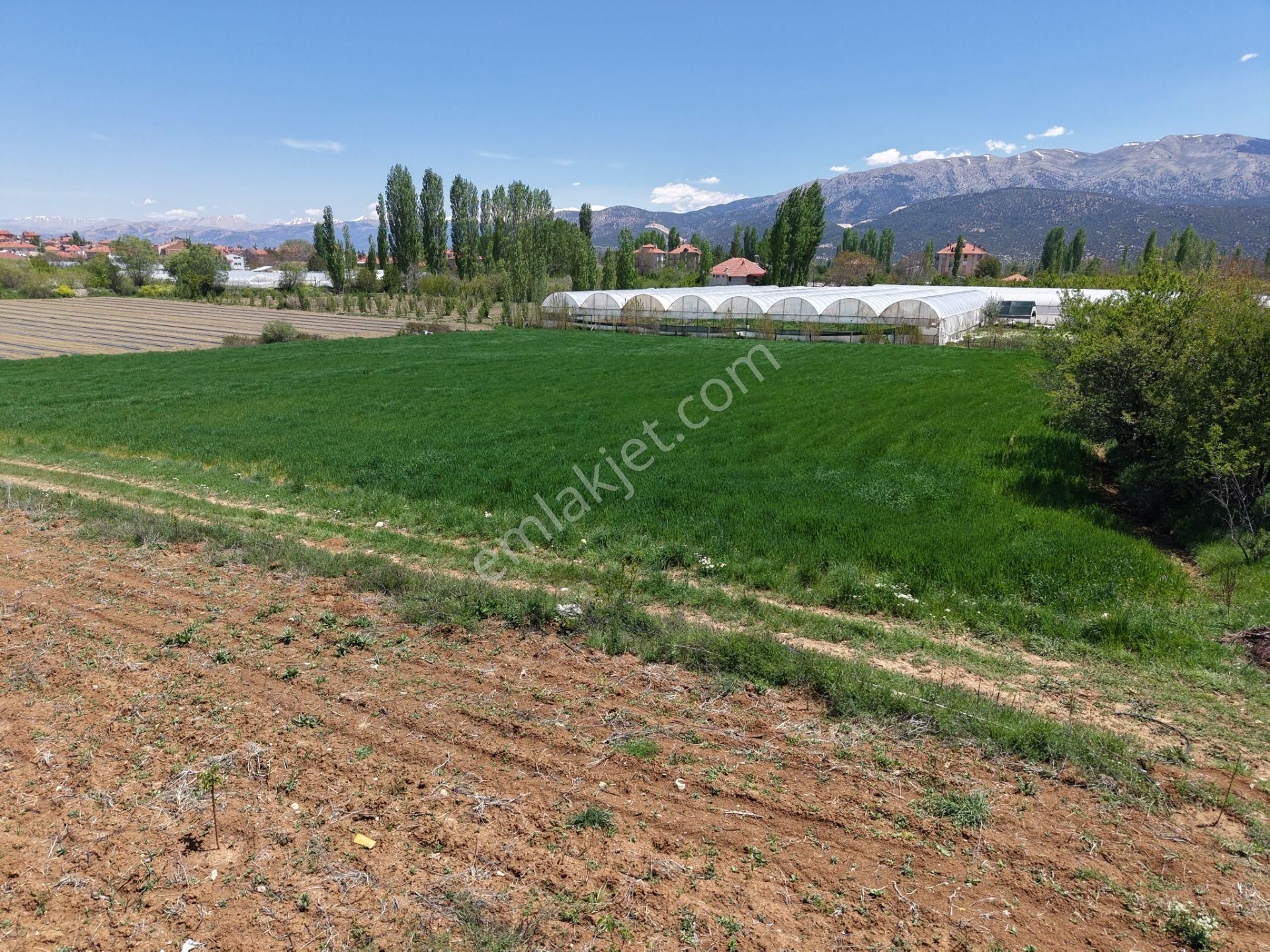 Bmk Dan Antalya Elmalı Akçayda Satılık Kullanışlı Arazi - Görsel 9