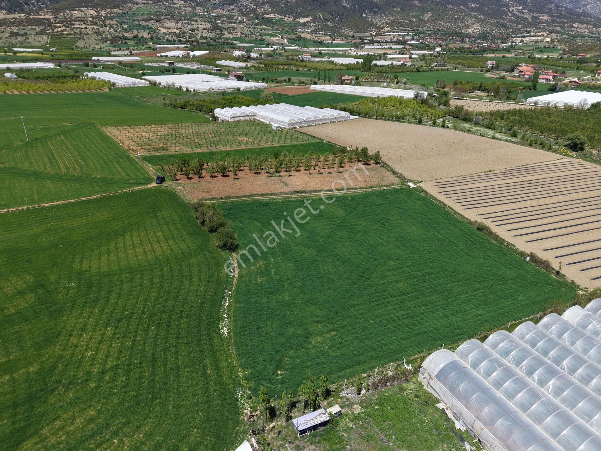 Bmk Dan Antalya Elmalı Akçayda Satılık Kullanışlı Arazi - Görsel 6