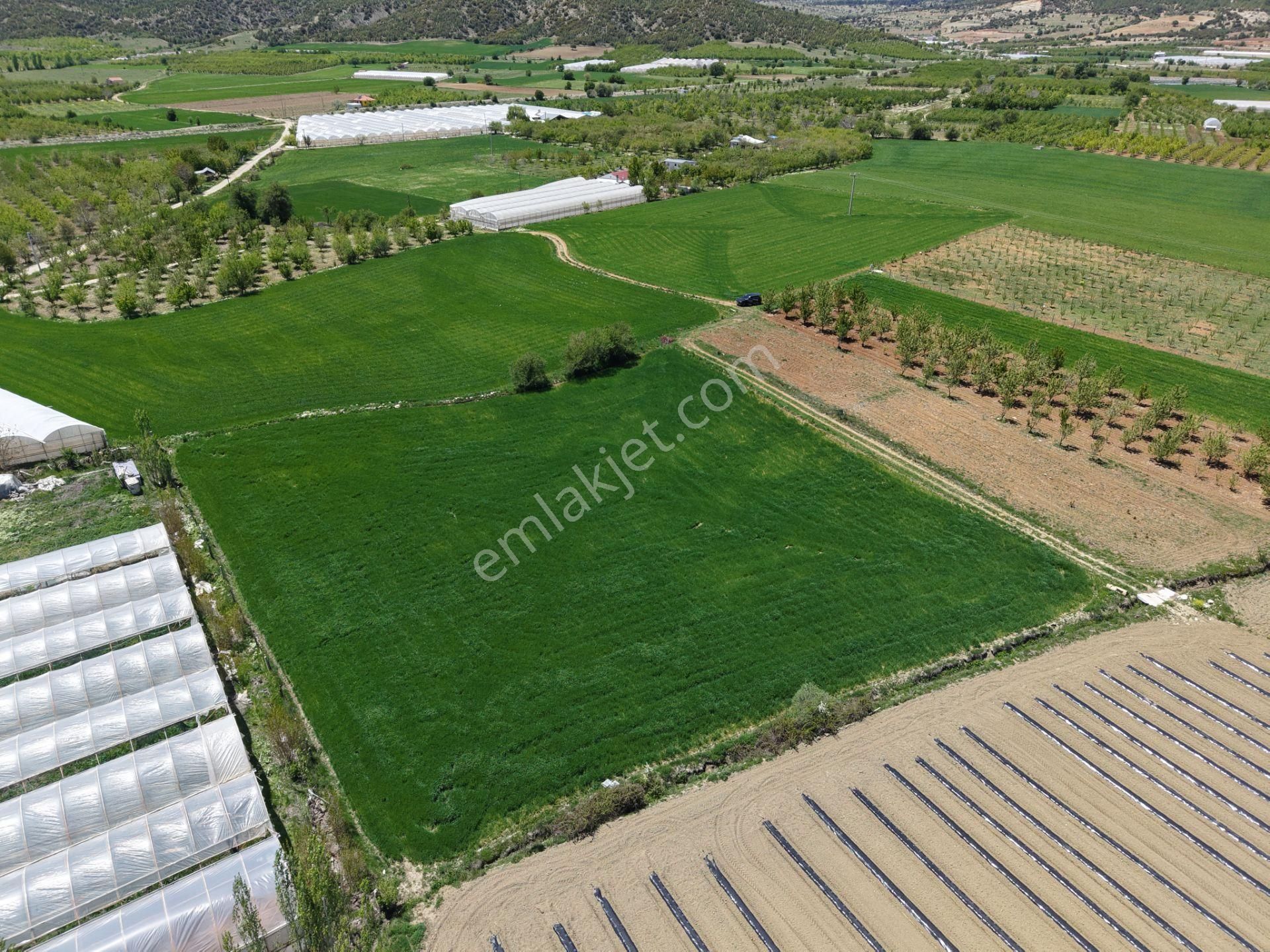 Bmk Dan Antalya Elmalı Akçayda Satılık Kullanışlı Arazi - Görsel 7