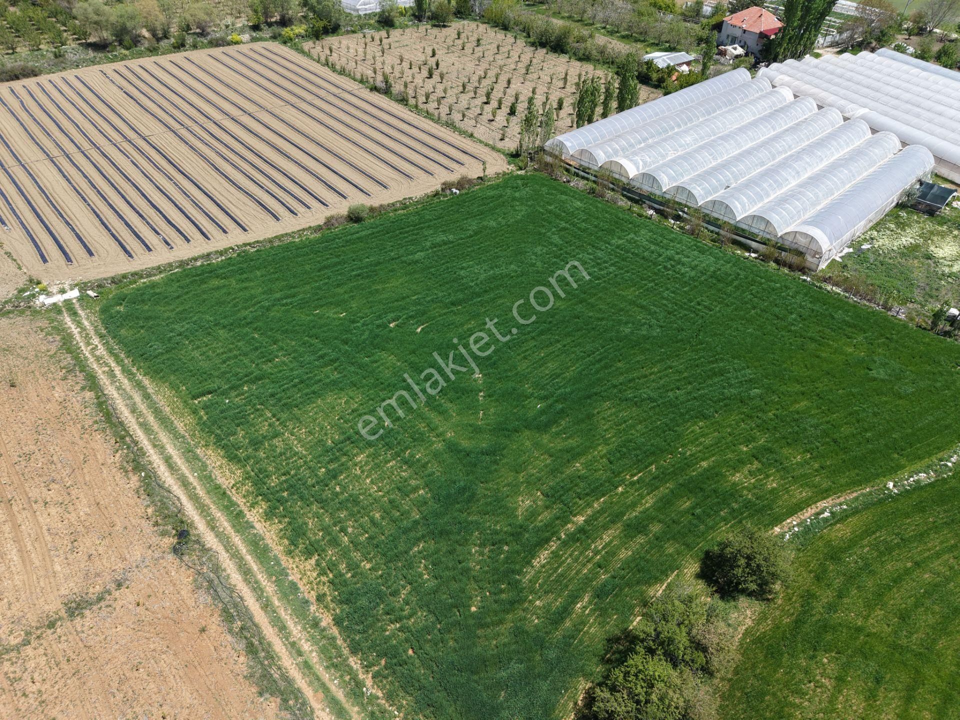 Bmk Dan Antalya Elmalı Akçayda Satılık Kullanışlı Arazi - Görsel 10