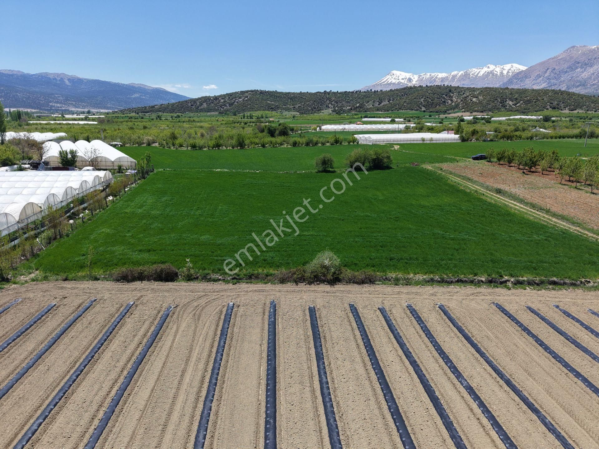 Bmk Dan Antalya Elmalı Akçayda Satılık Kullanışlı Arazi - Görsel 8