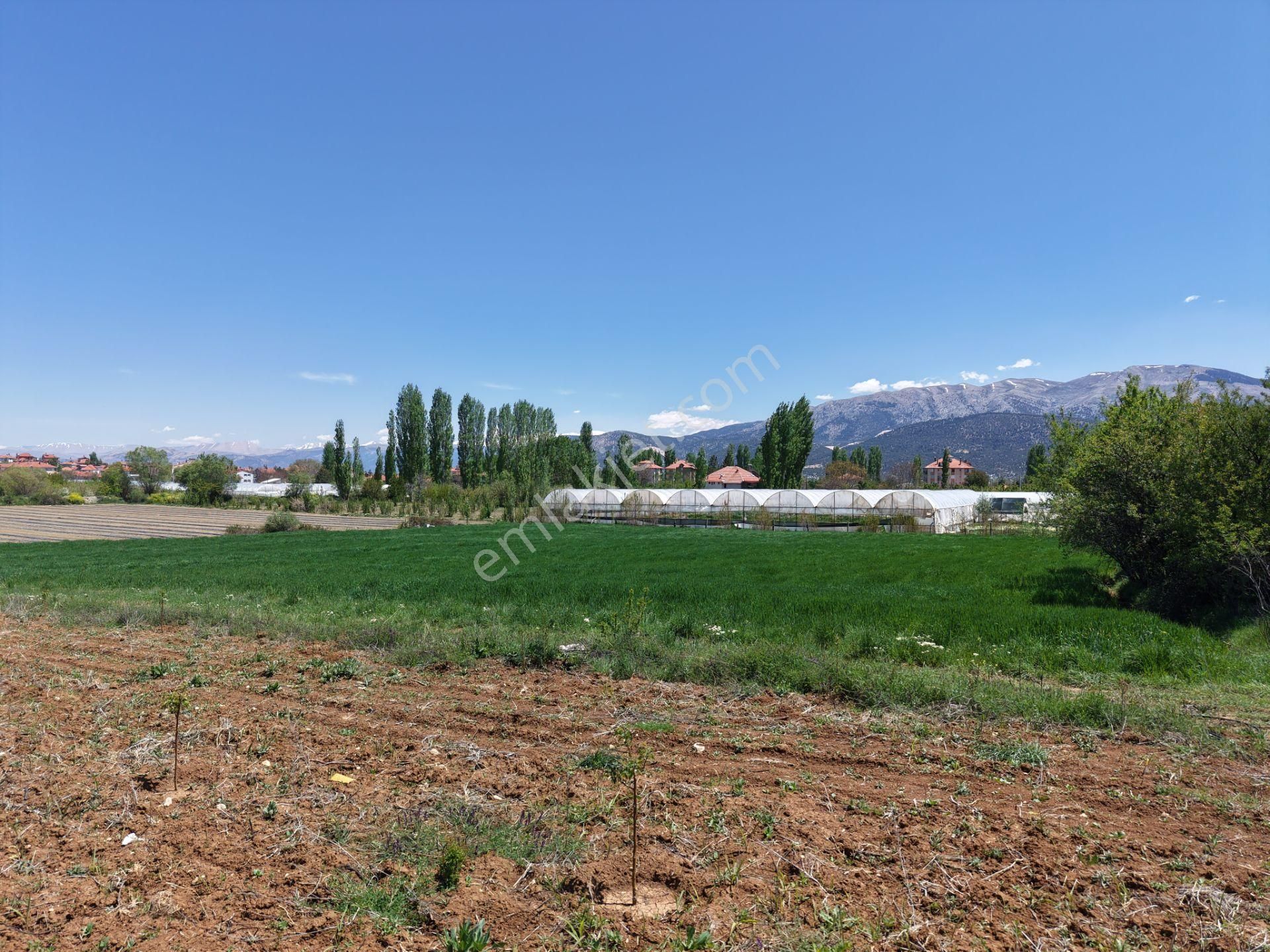 Bmk Dan Antalya Elmalı Akçayda Satılık Kullanışlı Arazi - Görsel 3