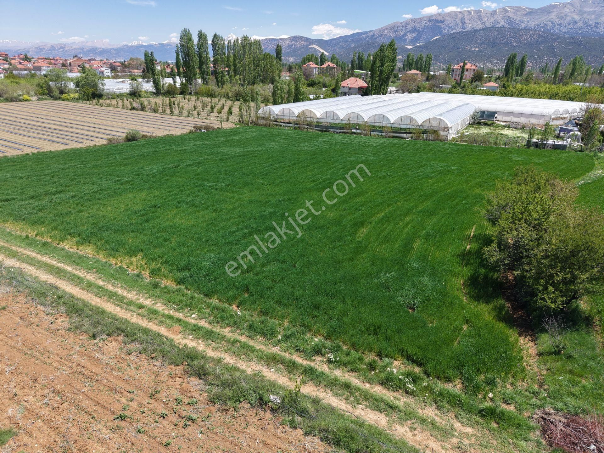 Bmk Dan Antalya Elmalı Akçayda Satılık Kullanışlı Arazi - Görsel 4