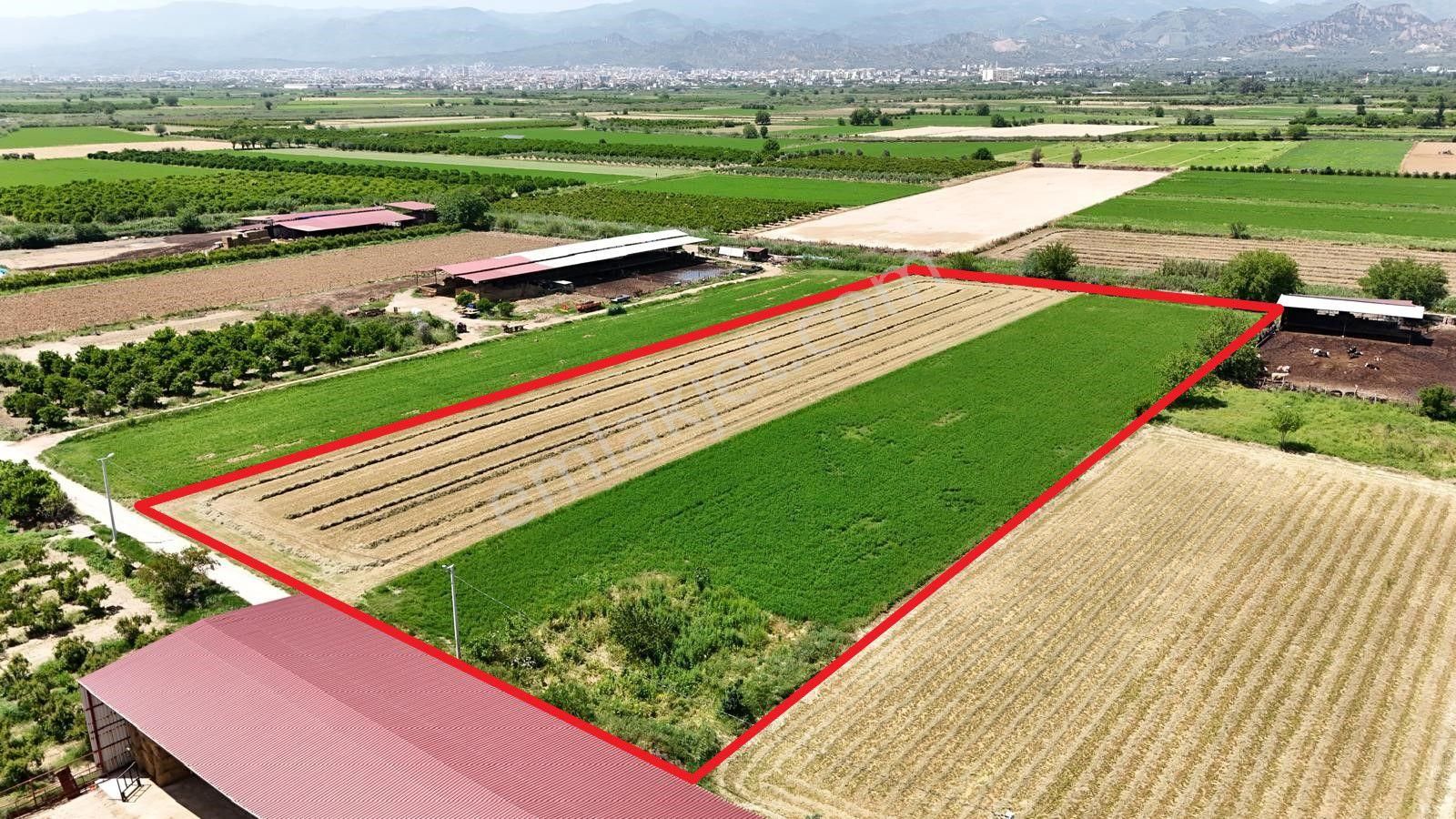 **şehir'den**sevindikli 11.720m2 Satılık Köy İçi İmarlı Arsa**
