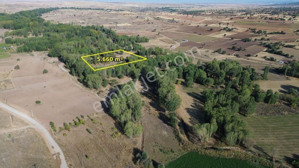 Akören Tülce De 5.660 M2 Müstakil Tapulu Arazi