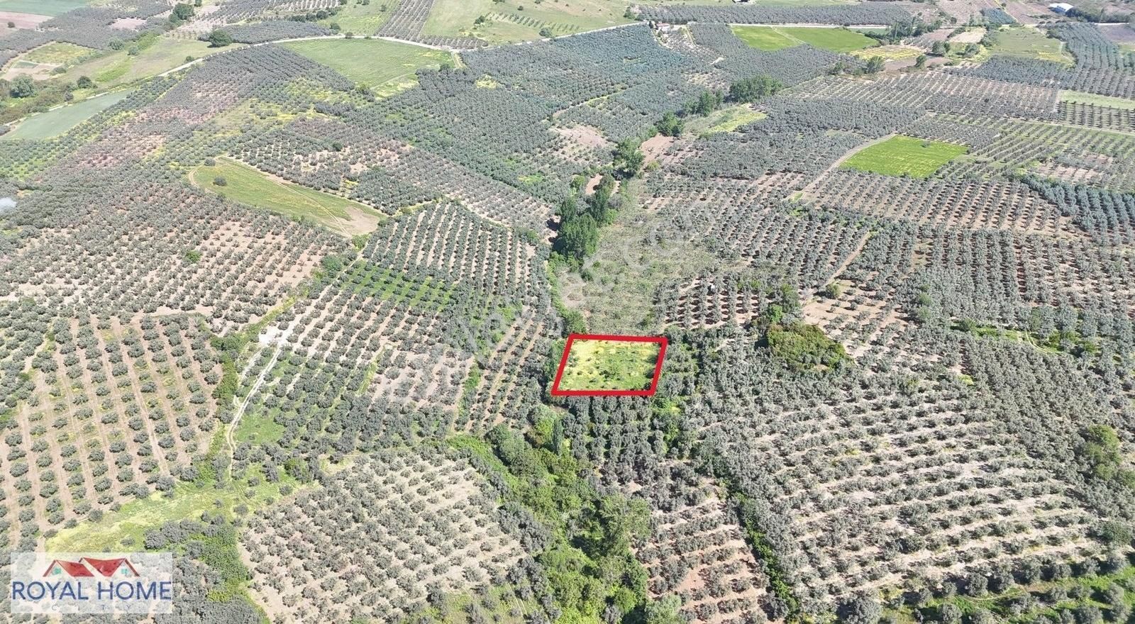 Mudanya Esence Yoluna 500 Metre Mesafede Hesaplı Yatırımlık Yer - Görsel 7