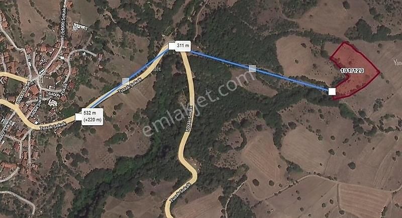 Acil Satılık Kepsut Tuzak Köyün De Yatırımlık Fırsat Arazi